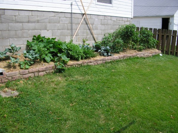 garden, wide angle