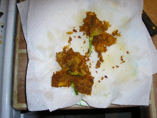 pumpkin blossom fried